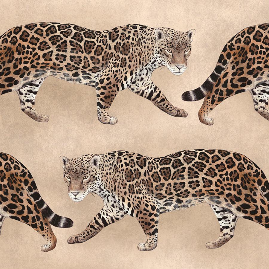 Caramel Pantheress Wallpaper