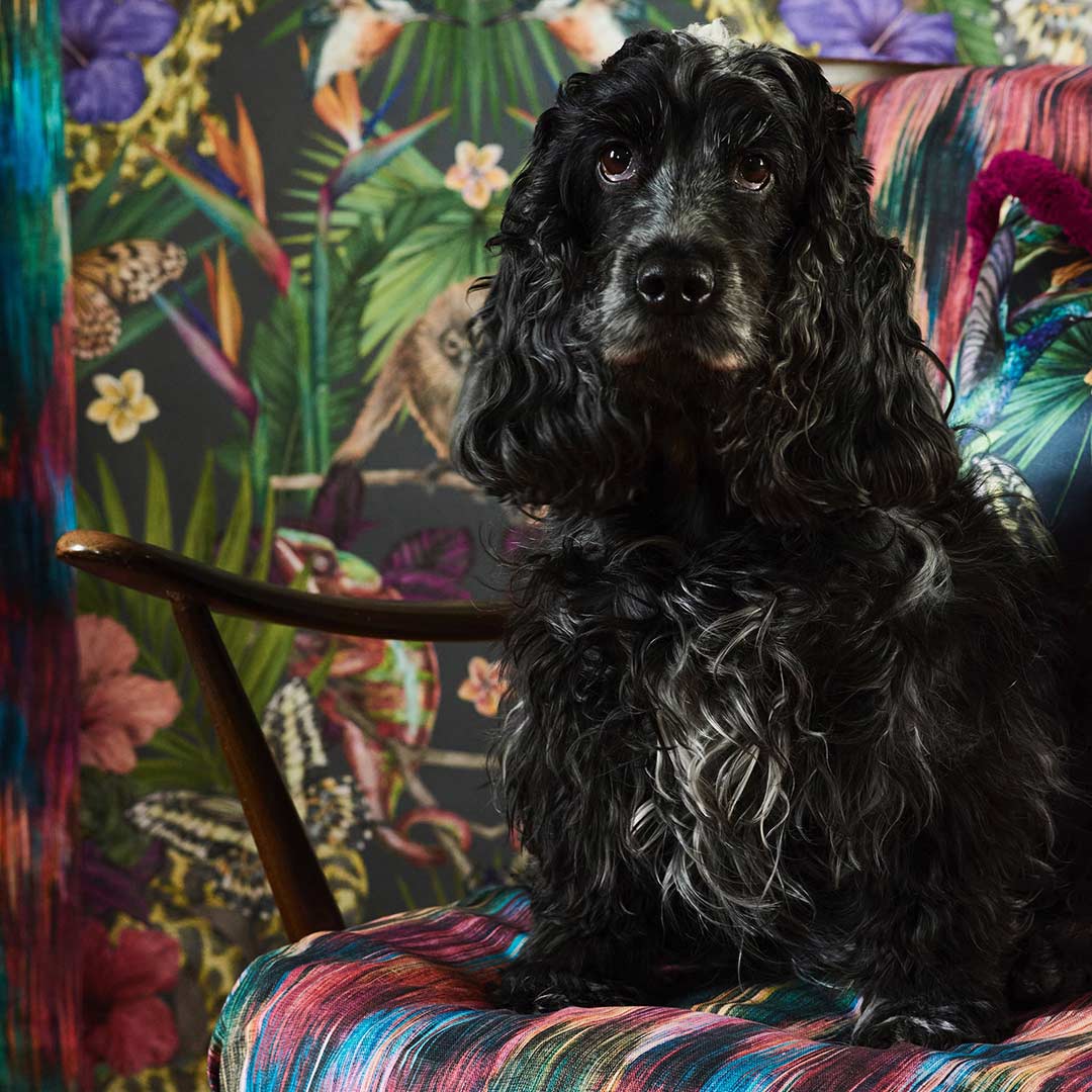 Exotica Wallpaper - Noir