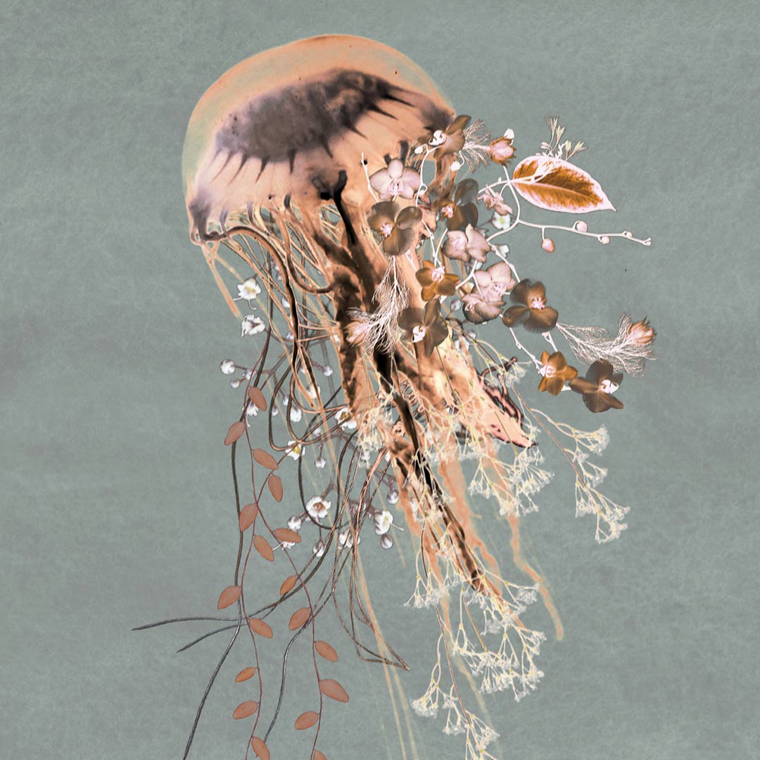 Living Waters Wallpaper - Mist/Coral - Good & Craft