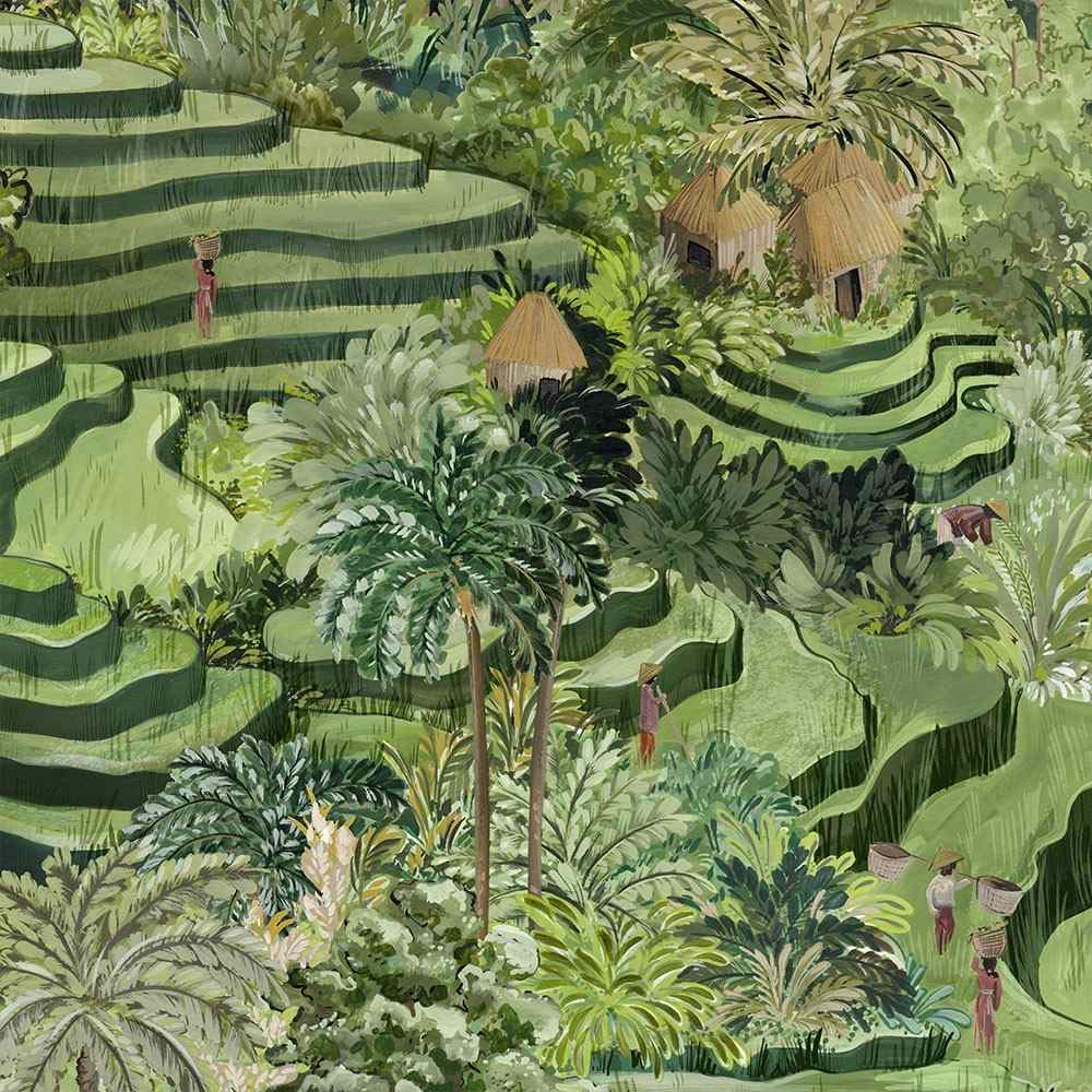 Rice Terrace Max Wallpaper - Green - Brand Mckenzie