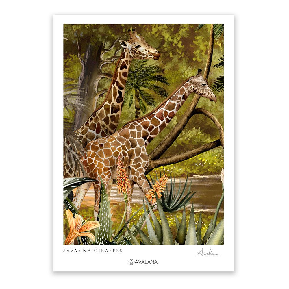 Savanna Giraffes Art Print