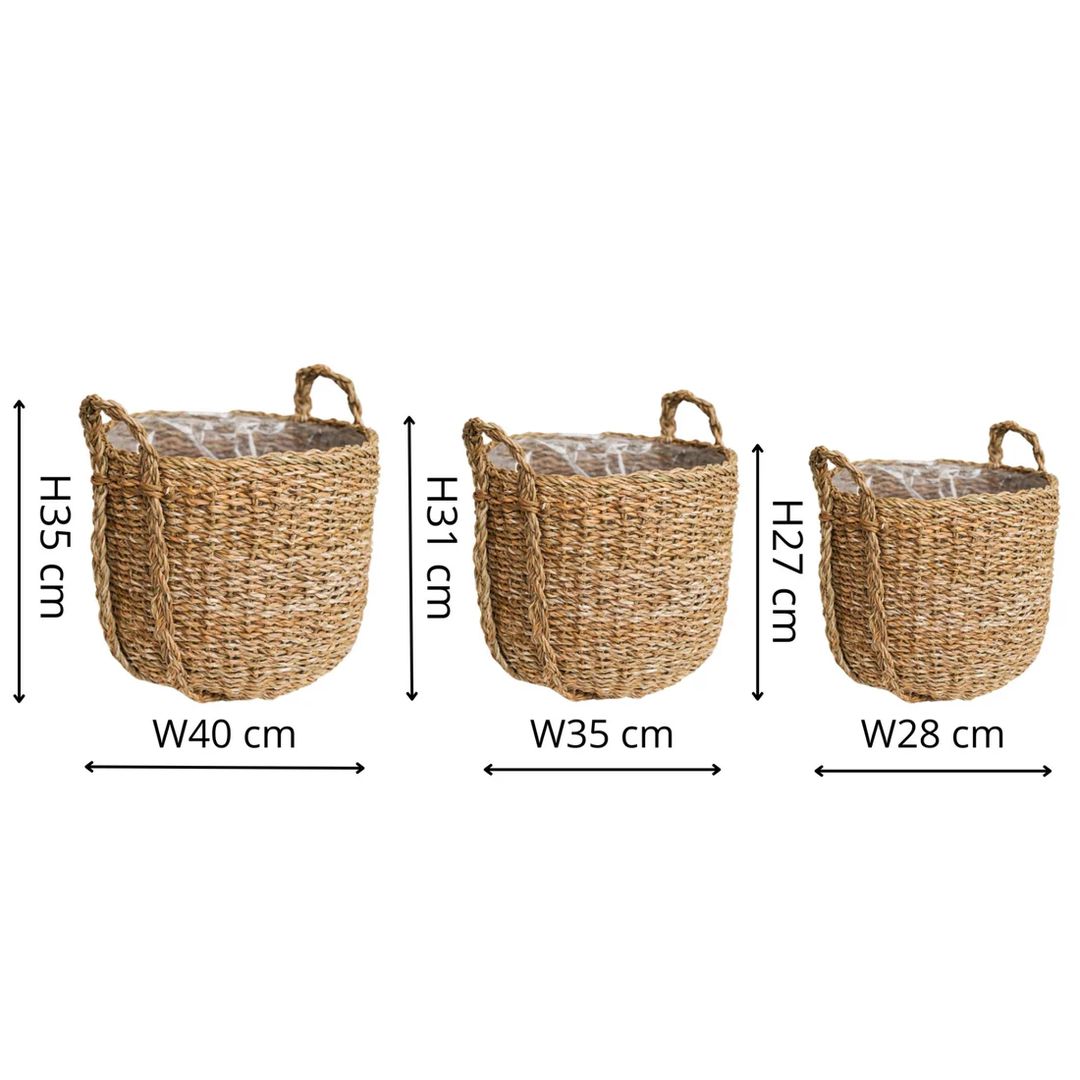 Set Of 3 Seagrass Lined Planter Baskets
