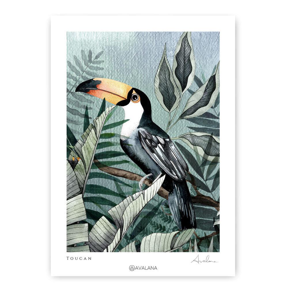 Toucan Art Print