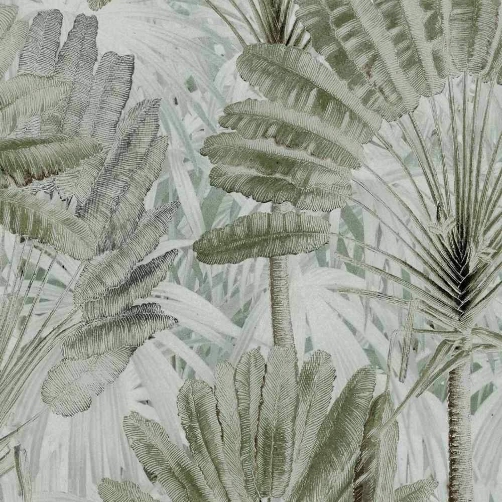 Traveller's Palm Wallpaper - Set of 3 Rolls - MINDTHEGAP