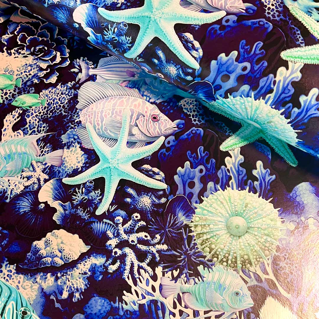 Treasures Of The Sea Wallpaper