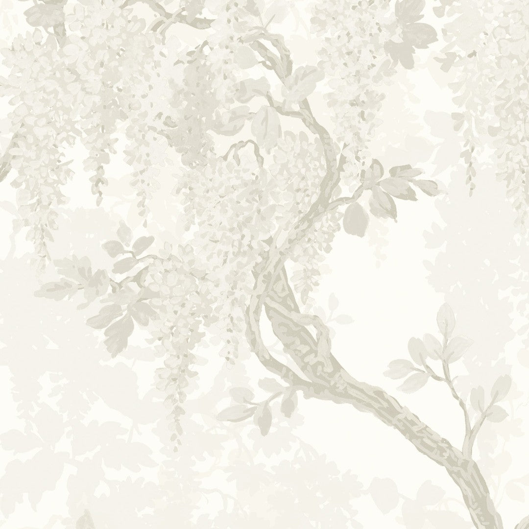 Wisteria Botanical Wallpaper - Magnolia