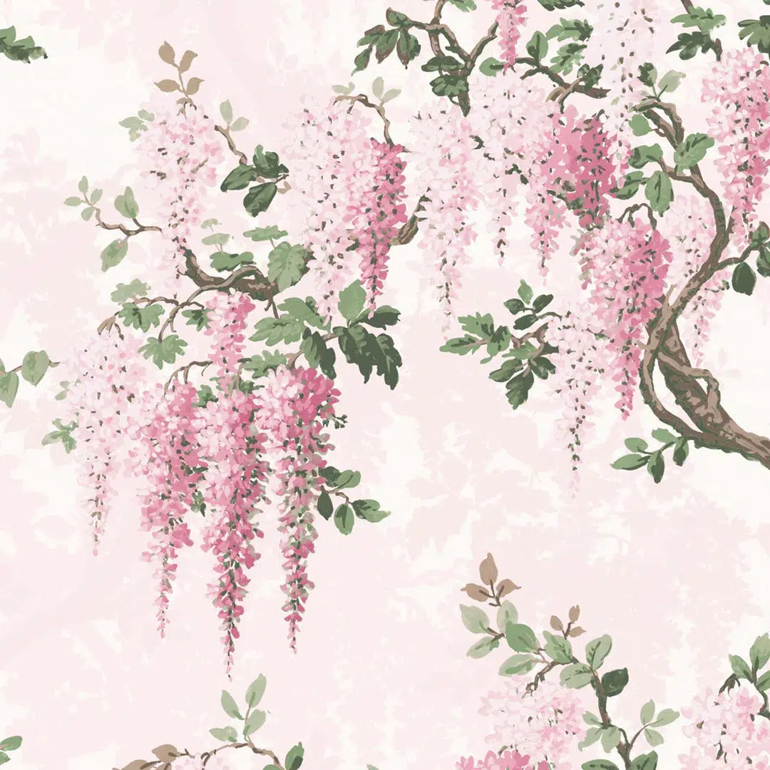 Wisteria Botanical Wallpaper - Pretty Pink