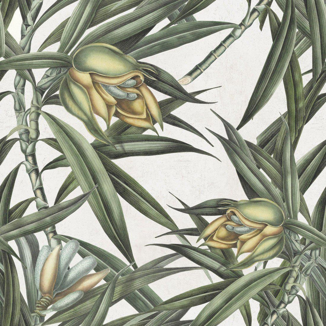 Exotic Fruit II Wallpaper - Set of 3 Rolls - MINDTHEGAP