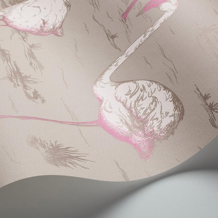 Flamingos Wallpaper - Contemporary Collection - Cole & Son