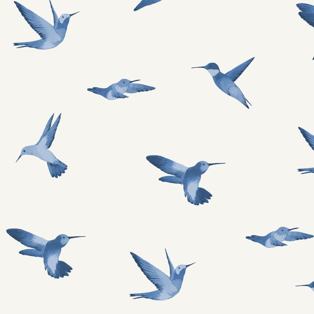 Humingbird Wallpaper - Stil Haven