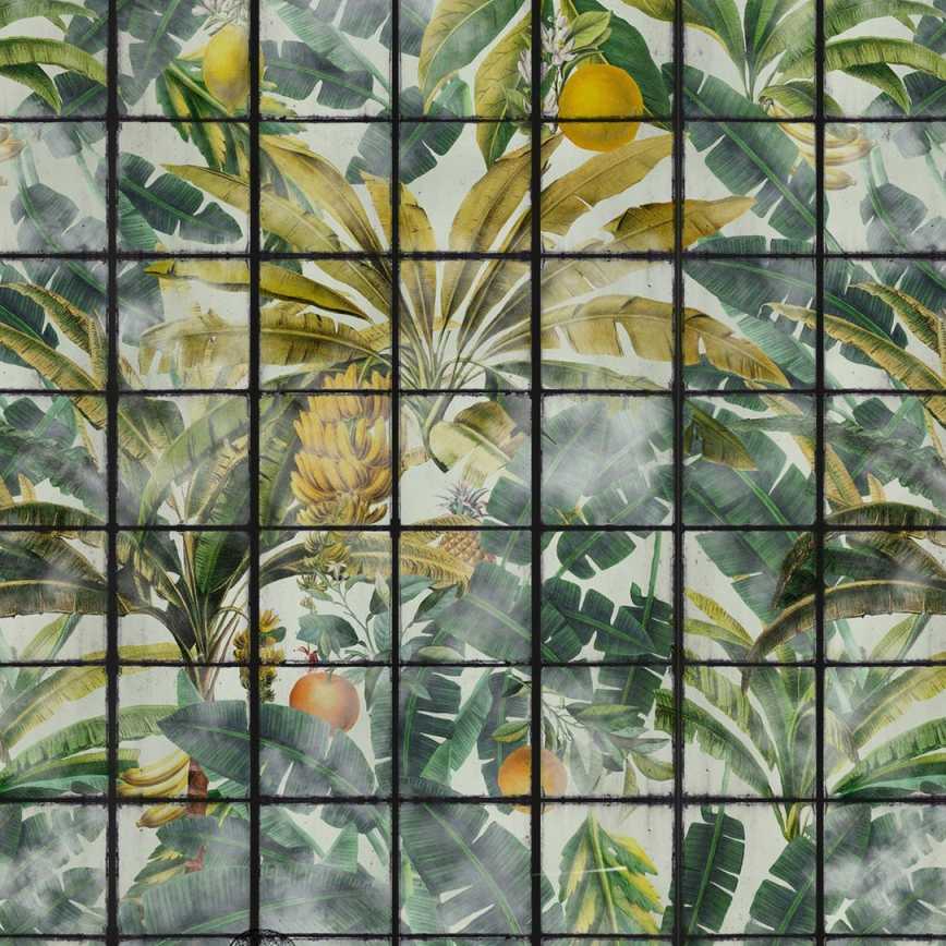 Orangerie Wallpaper - Set of 3 Rolls - MINDTHEGAP