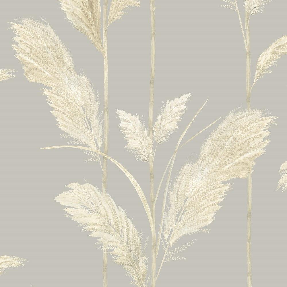 Pampas Grass Wallpaper - Neutral Grey - Brand Mckenzie