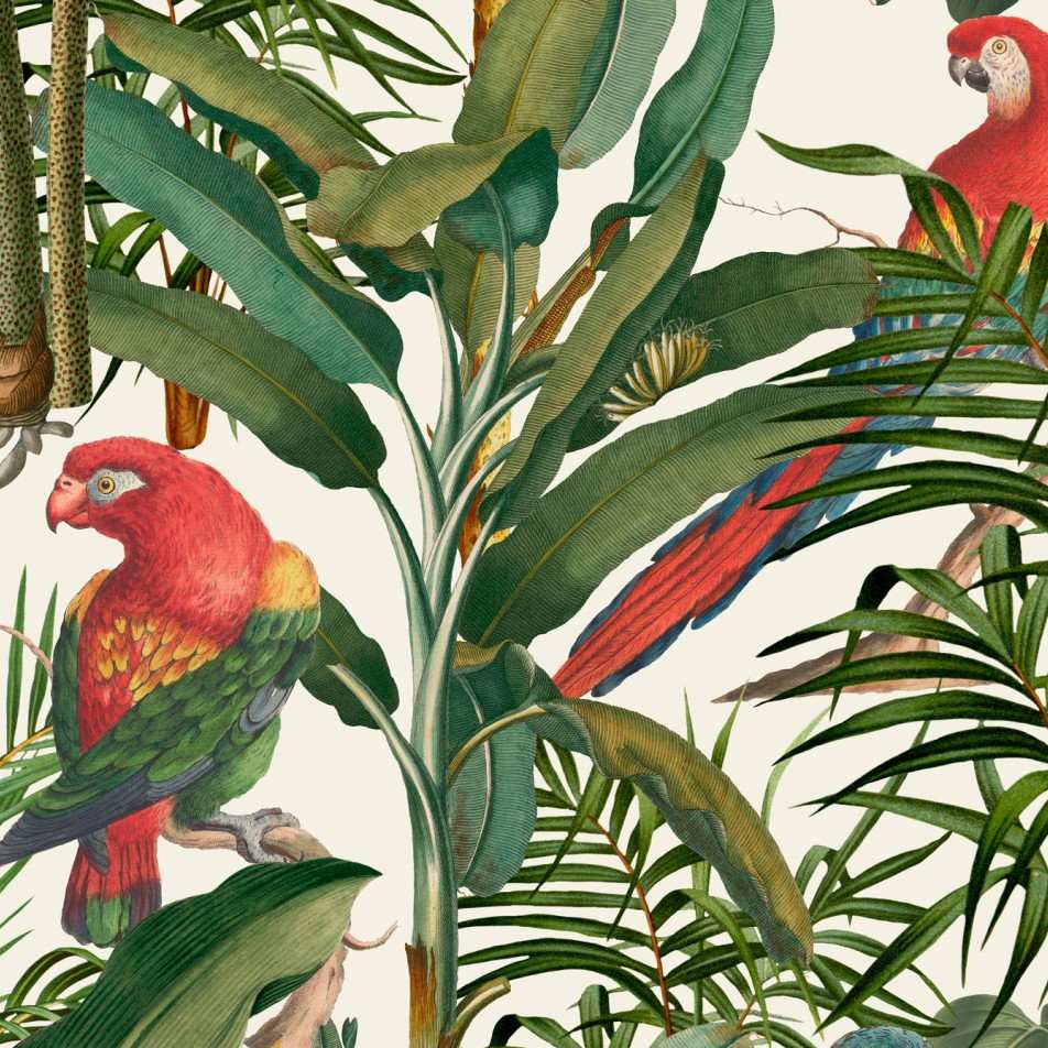 Parrots of Brasil Wallpaper - Set of 3 Rolls - MINDTHEGAP