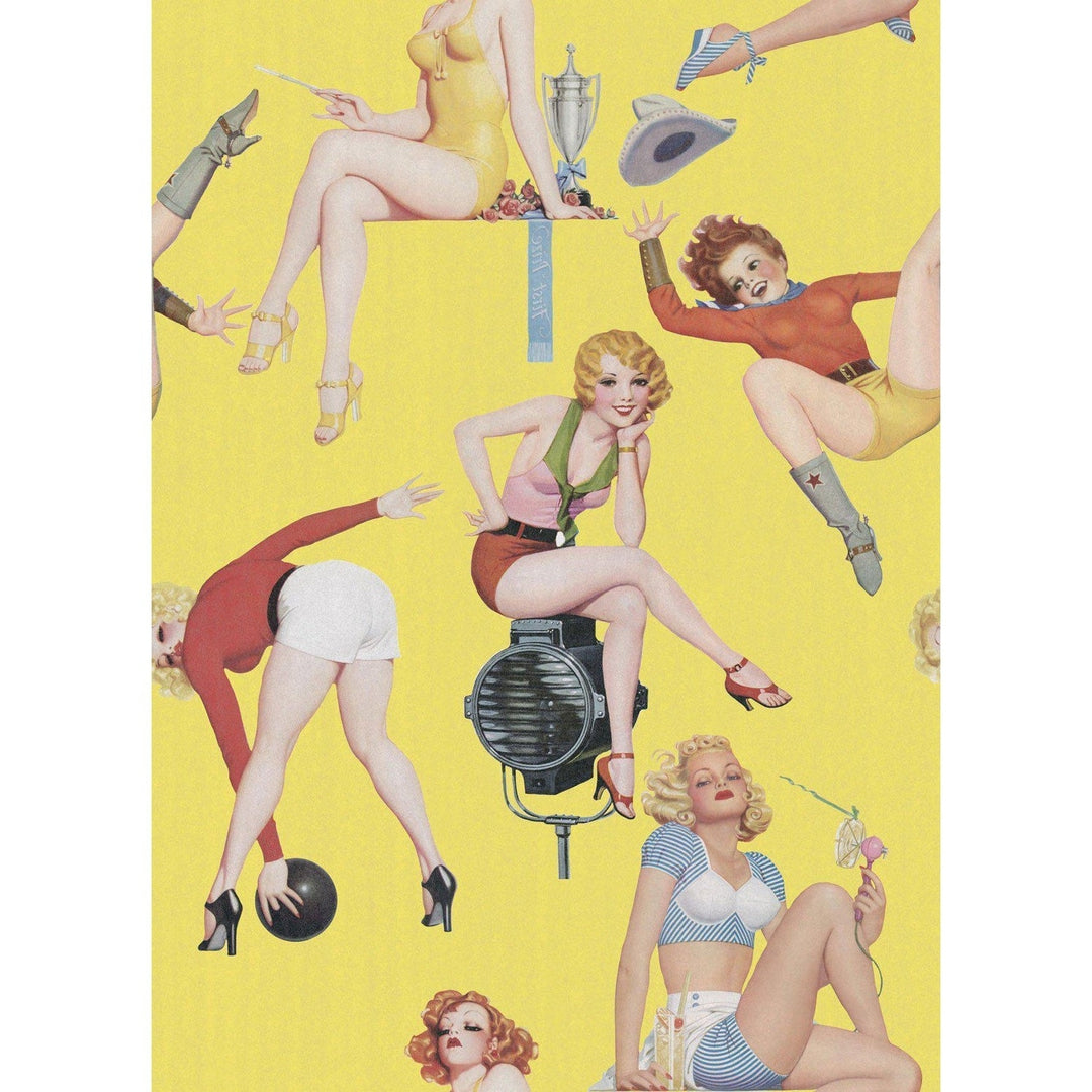 Pin-Up Girls Wallpaper - Set of 3 Rolls - MINDTHEGAP