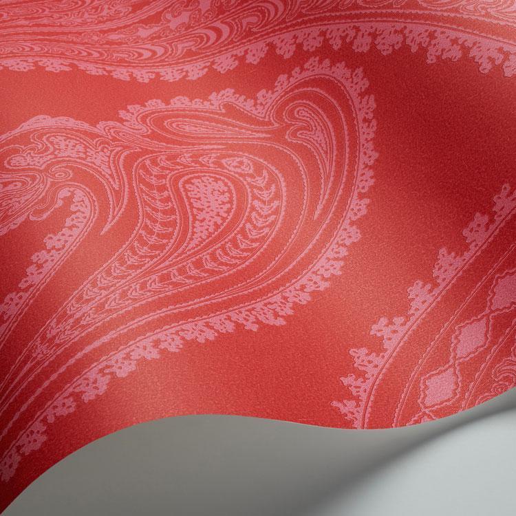 Rajapur Wallpaper - New Contemporary - Cole & Son