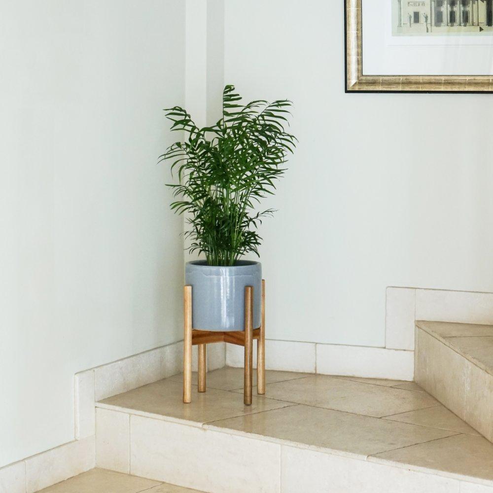 Scandi Wooden Plant Stand and Planter