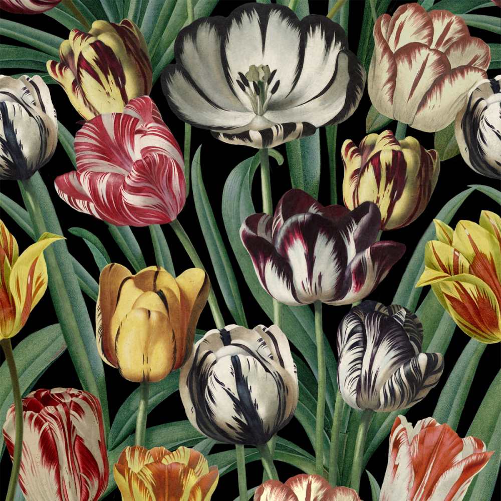 Tulipa Wallpaper - Set of 3 Rolls - MINDTHEGAP