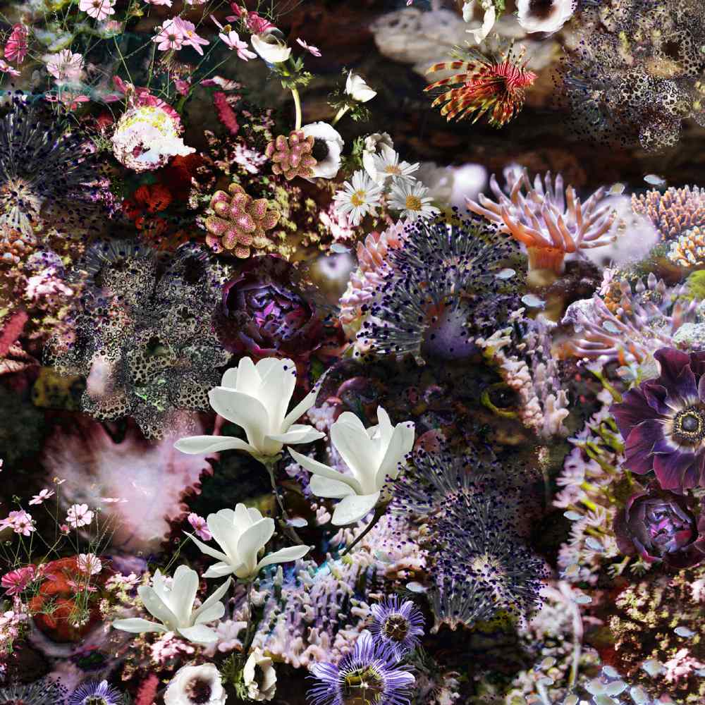 Underwater World Wallpaper - Unique - Good & Craft