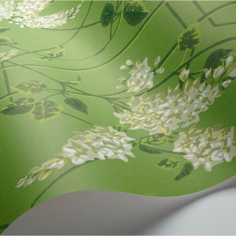 Wisteria Wallpaper - Botanical Botanica Collection - Cole & Son