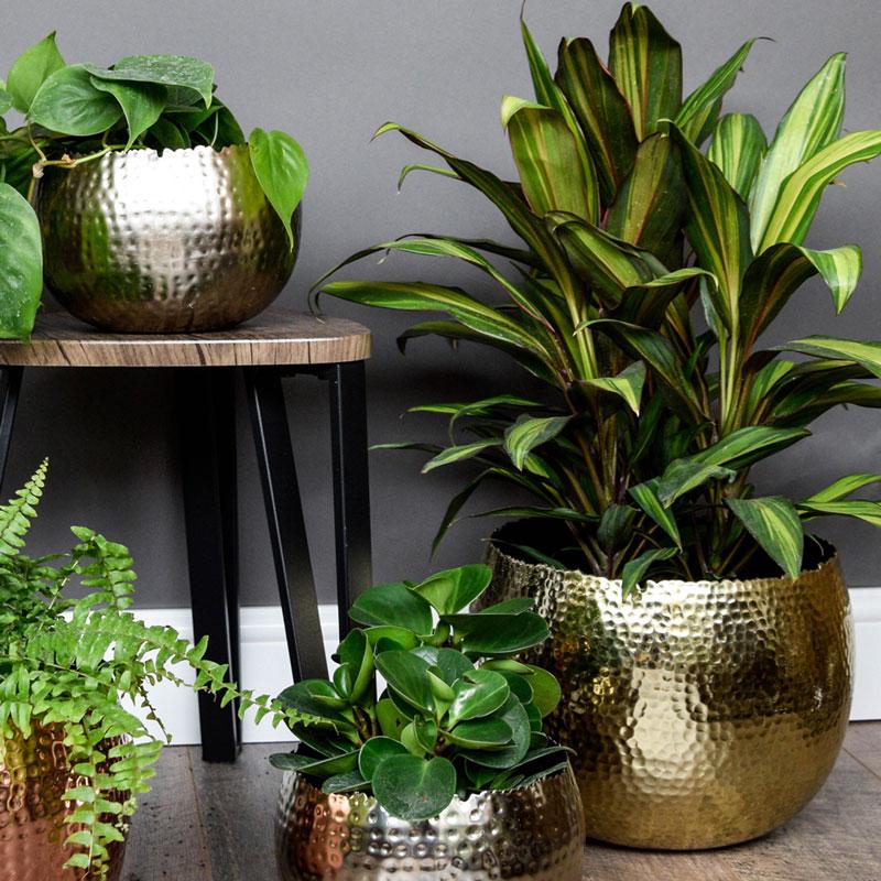 Gold Marrakesh Hammered Bowl Planter