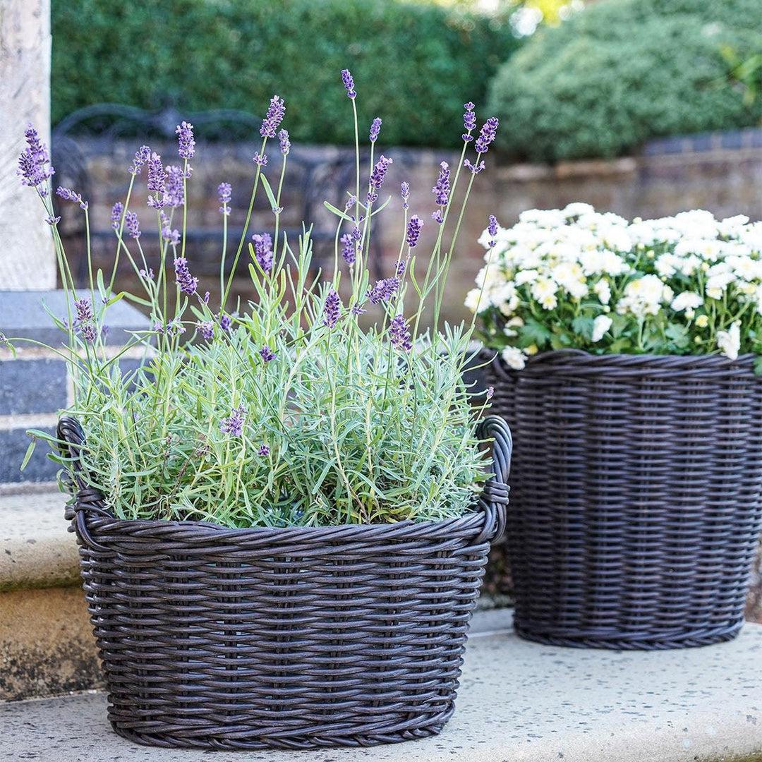 Grey Polyrattan Lined Willow Planter