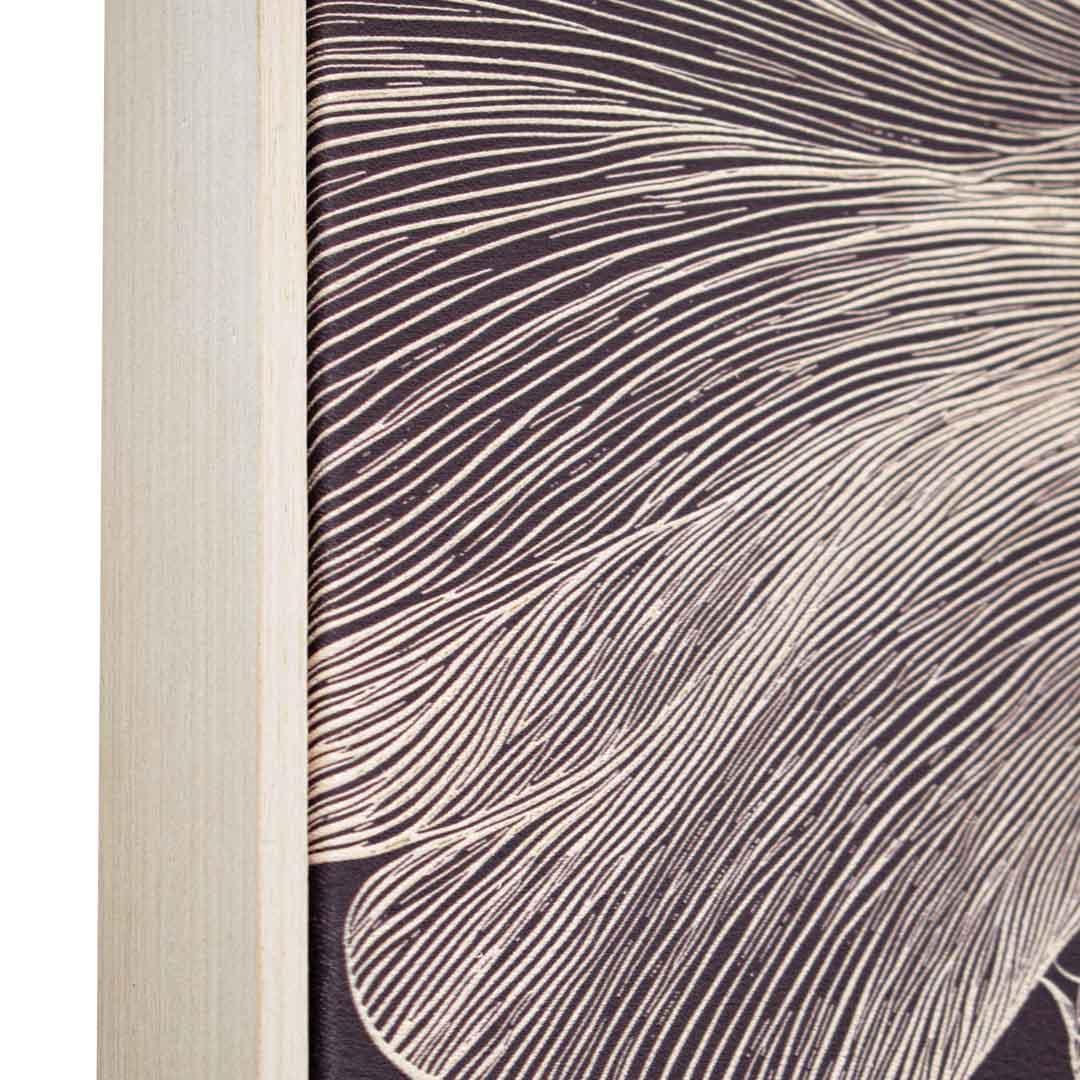 Adler Dark Canvas - RV Astley