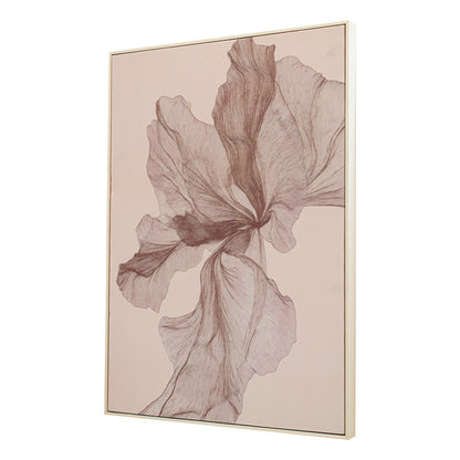 Adler Light Canvas - RV Astley