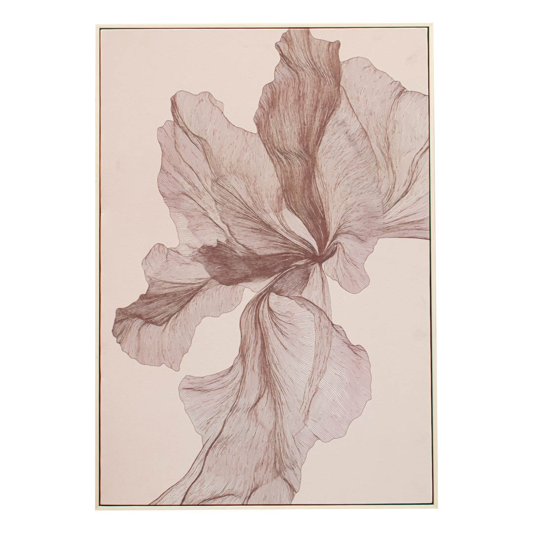 Adler Light Canvas - RV Astley