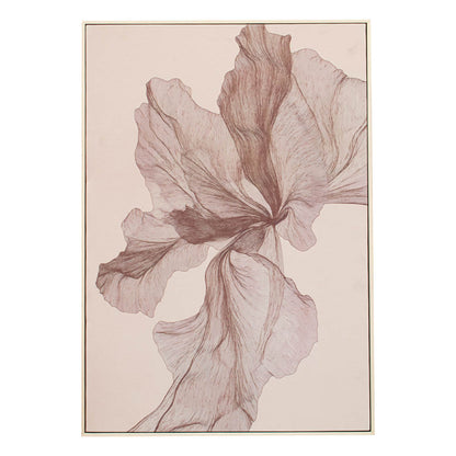 Adler Light Canvas - RV Astley