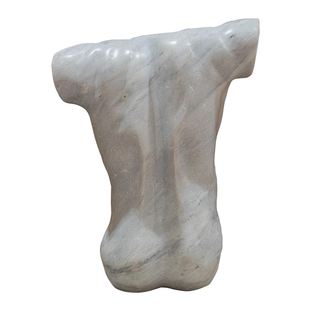 Angelis W23 Torso - RV Astley