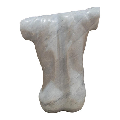 Angelis W23 Torso - RV Astley