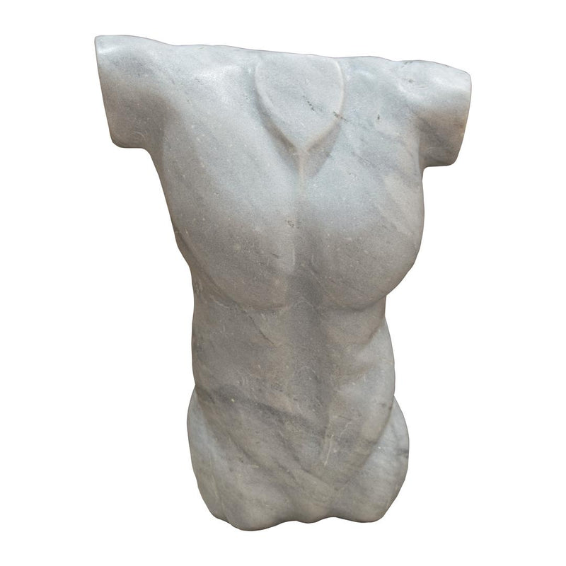 Angelis W23 Torso - RV Astley