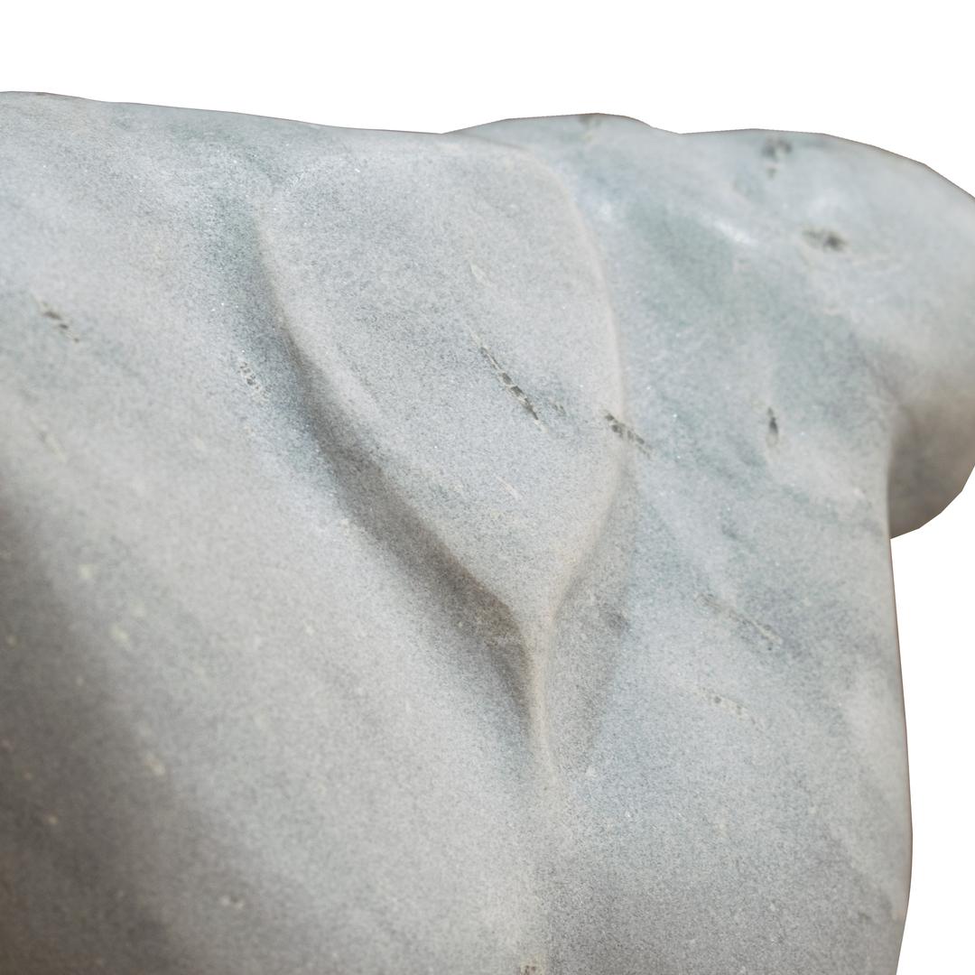 Angelis W23 Torso - RV Astley