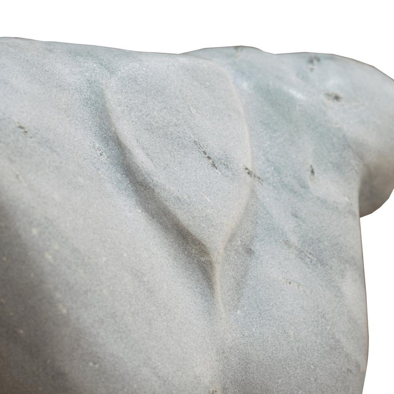 Angelis W23 Torso - RV Astley