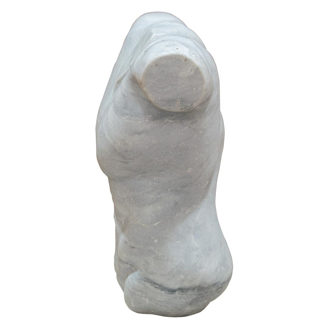 Angelis W23 Torso - RV Astley