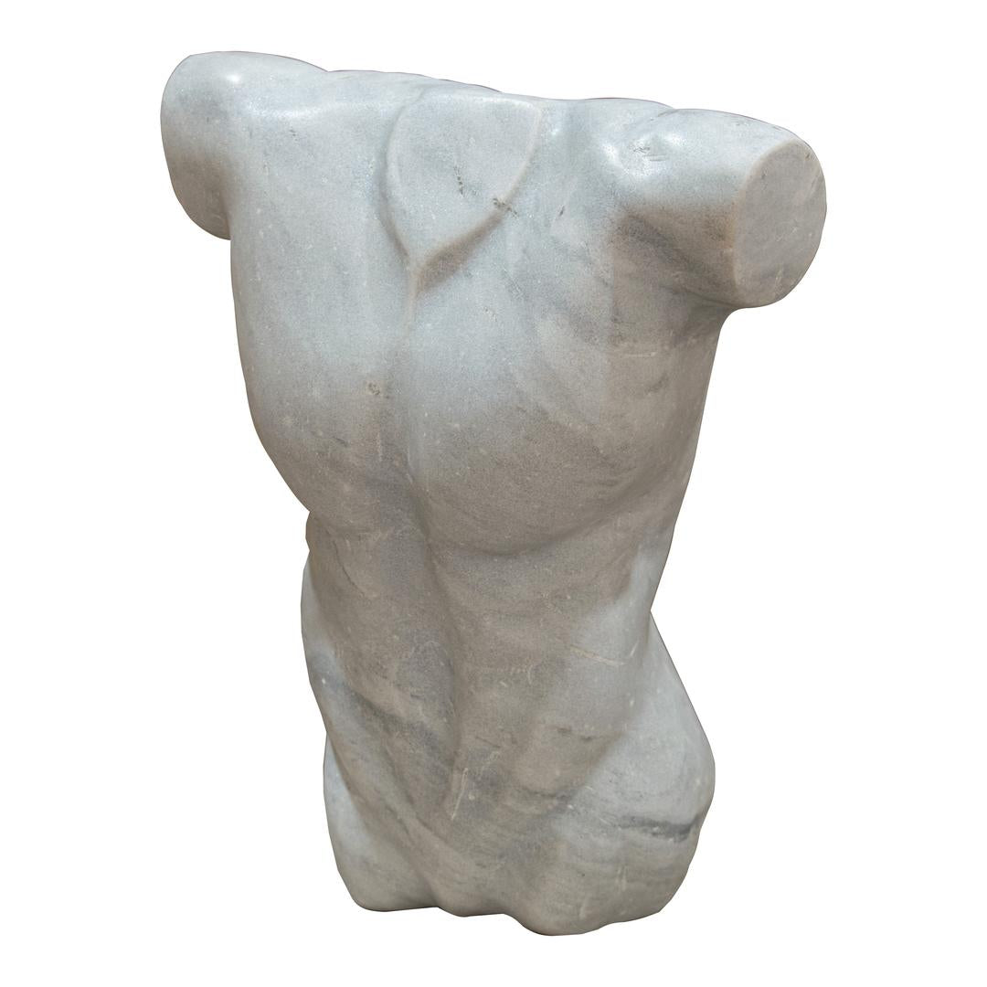 Angelis W23 Torso - RV Astley