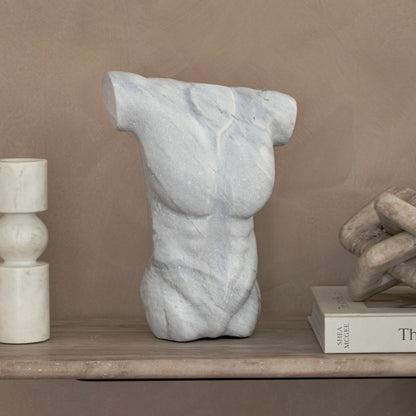 Angelis W23 Torso - RV Astley