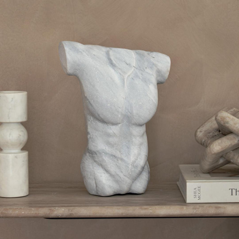 Angelis W23 Torso - RV Astley