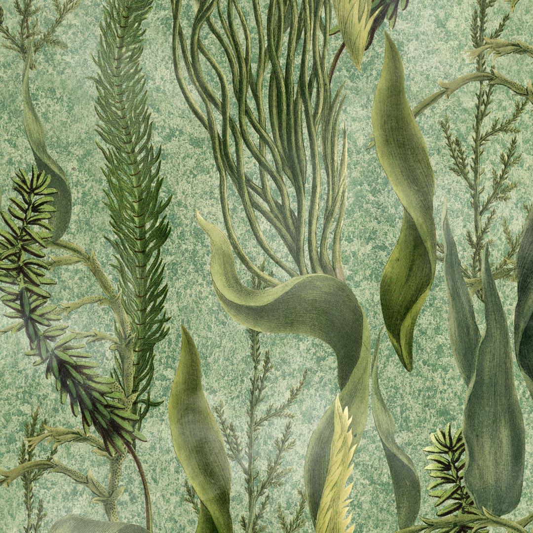 Aquatic Plants Wallpaper - MindTheGap