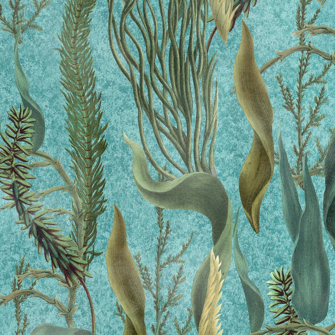 Aquatic Plants Wallpaper - MindTheGap