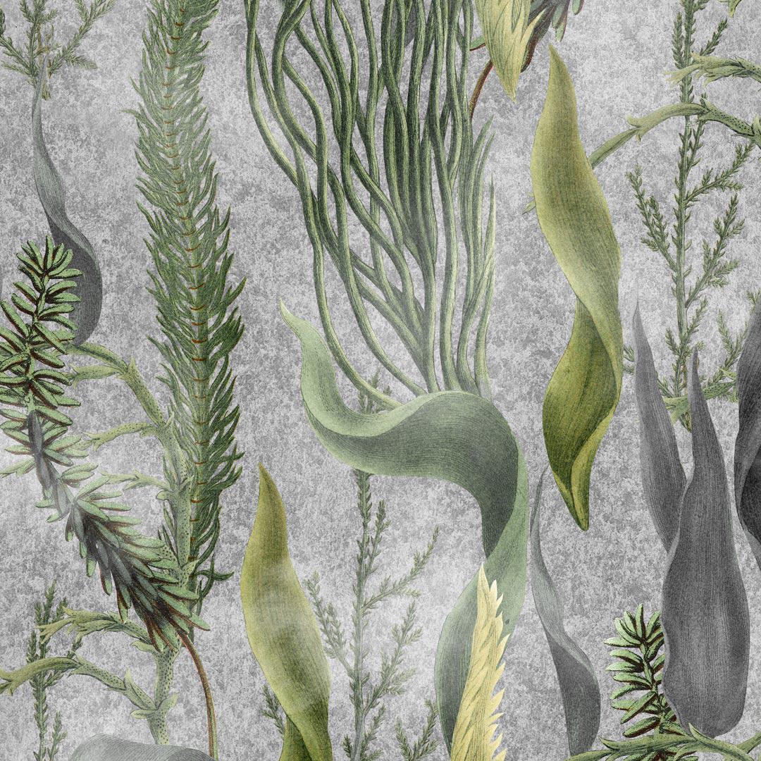 Aquatic Plants Wallpaper - MindTheGap