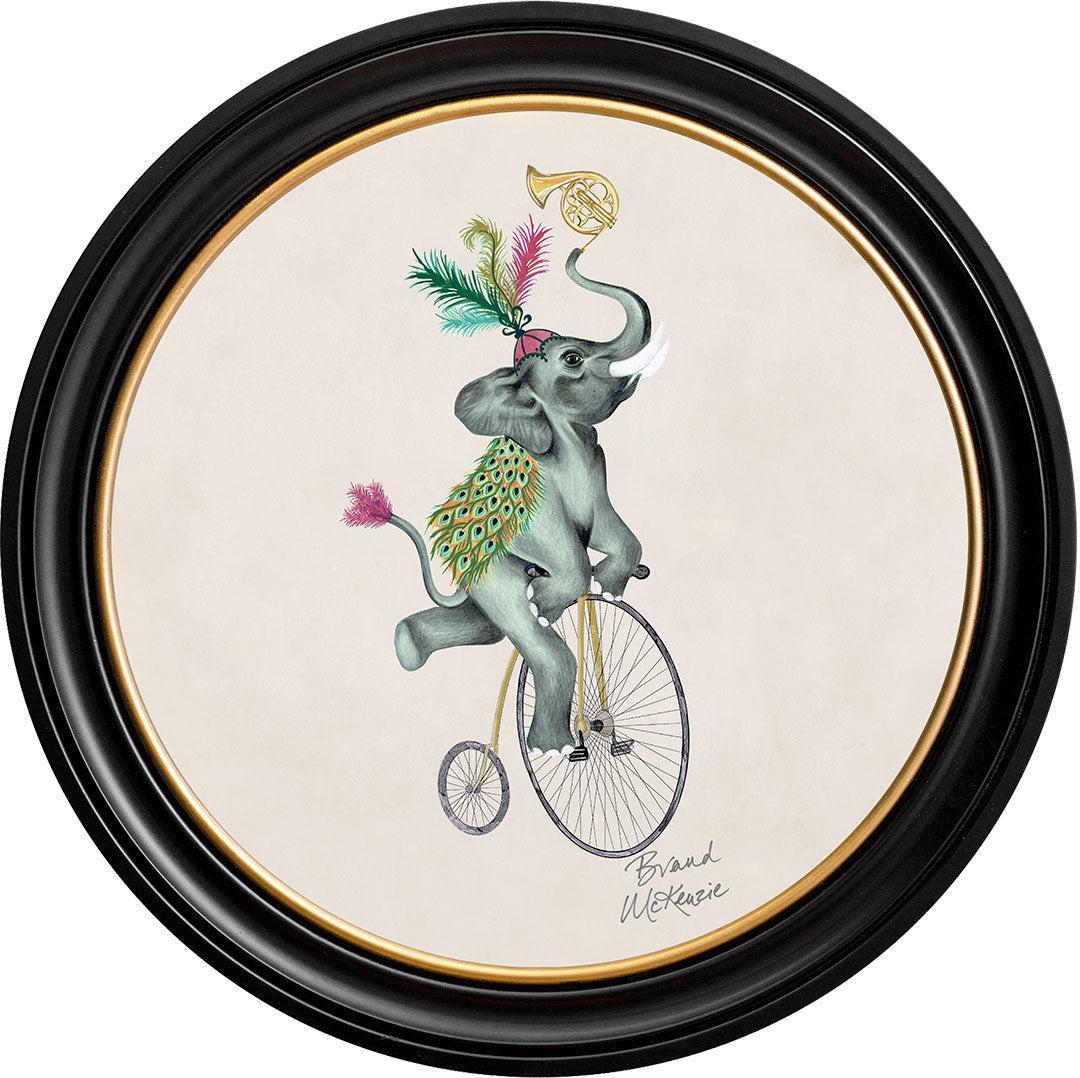 Balancing Act - Elliot on Chalk White - Brand McKenzie Framed Art Prints