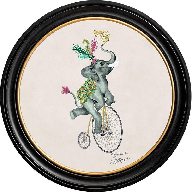 Balancing Act - Elliot on Chalk White - Brand McKenzie Framed Art Prints