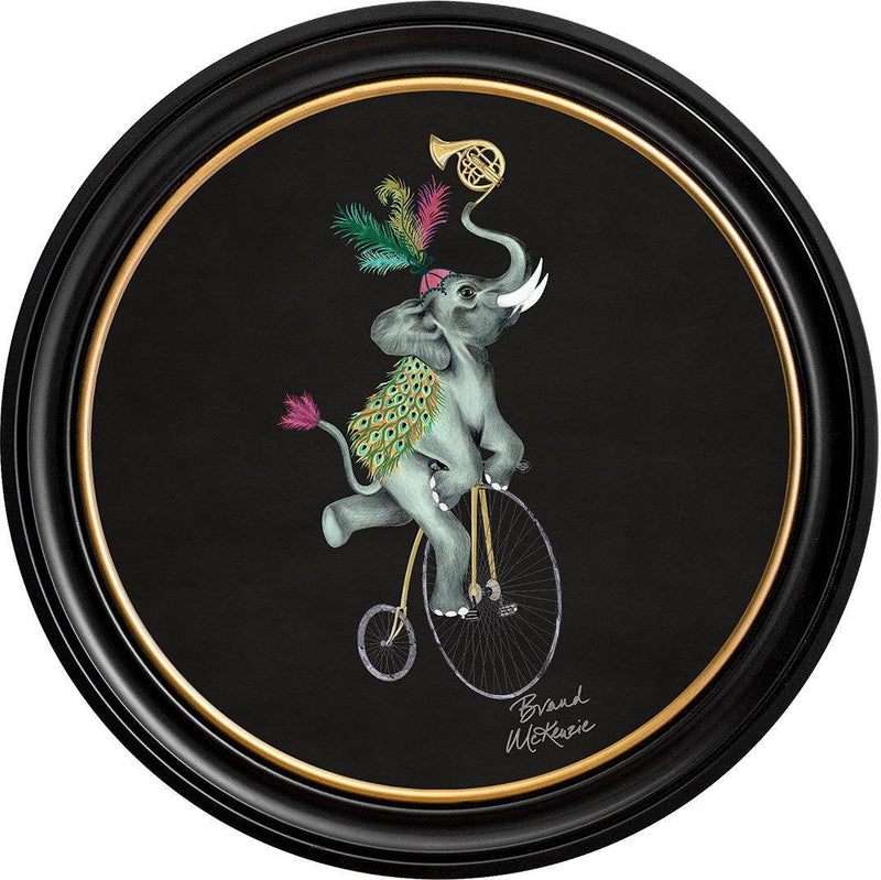 Balancing Act - Elliot on Charcoal Black - Brand McKenzie Framed Art Prints