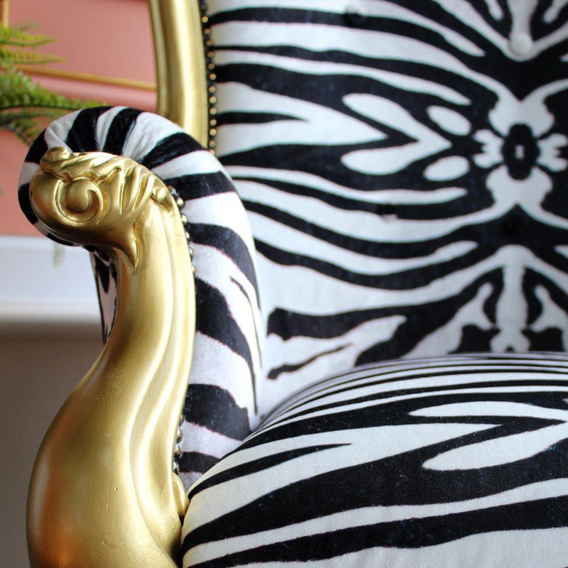 Bold Zebra Fabric