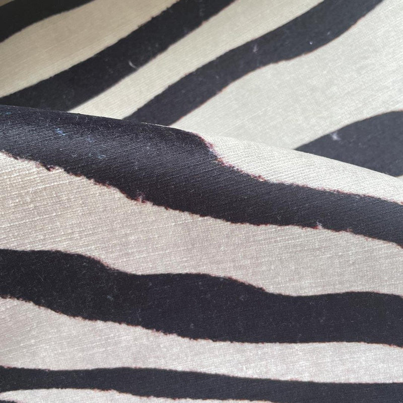 Bold Zebra Fabric