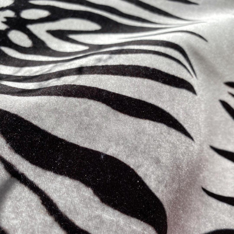 Bold Zebra Fabric