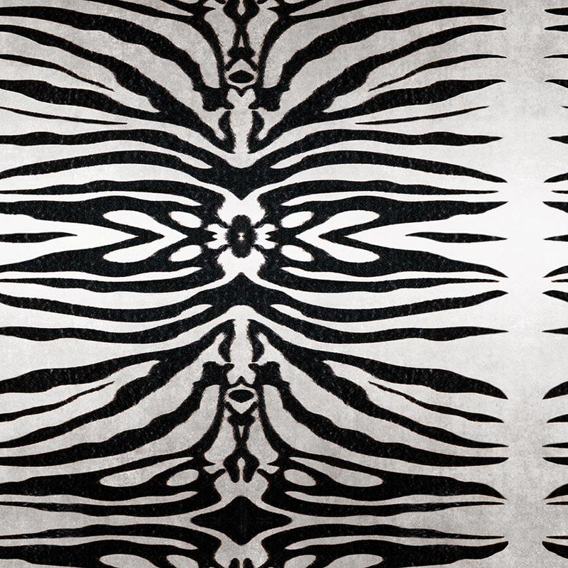 Bold Zebra Fabric
