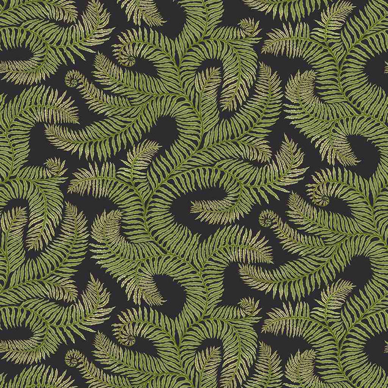 Bombe's Fernery Wallpaper - Dark Grey & Green - Josephine Munsey