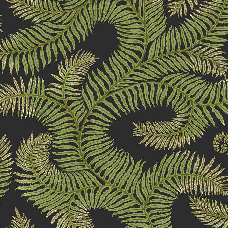 Bombe's Fernery Wallpaper - Dark Grey & Green - Josephine Munsey